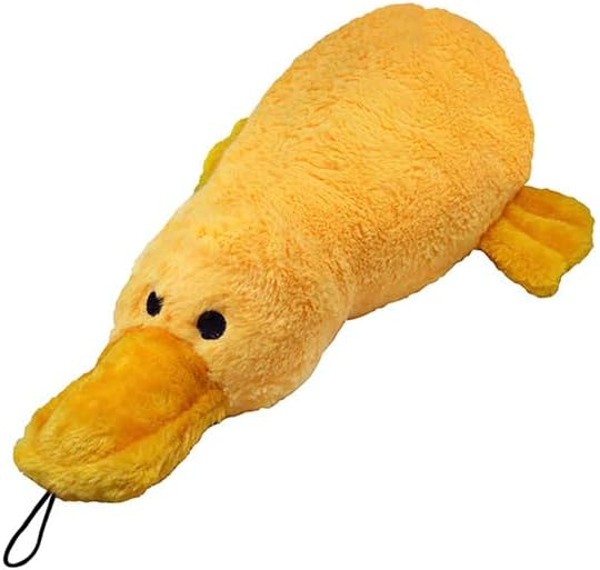 Como Saber se Seu Shih Tzu é Puro? 2 O Brinquedo Ideal para Cachorros!